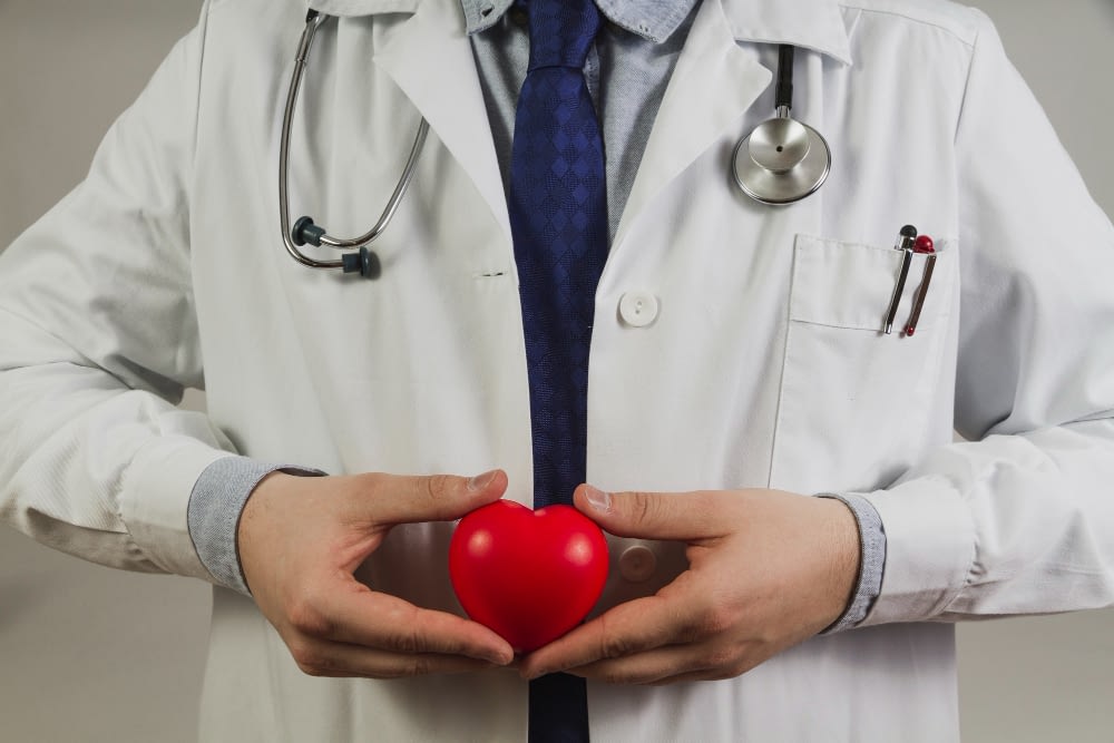 doctor holding plastic heart