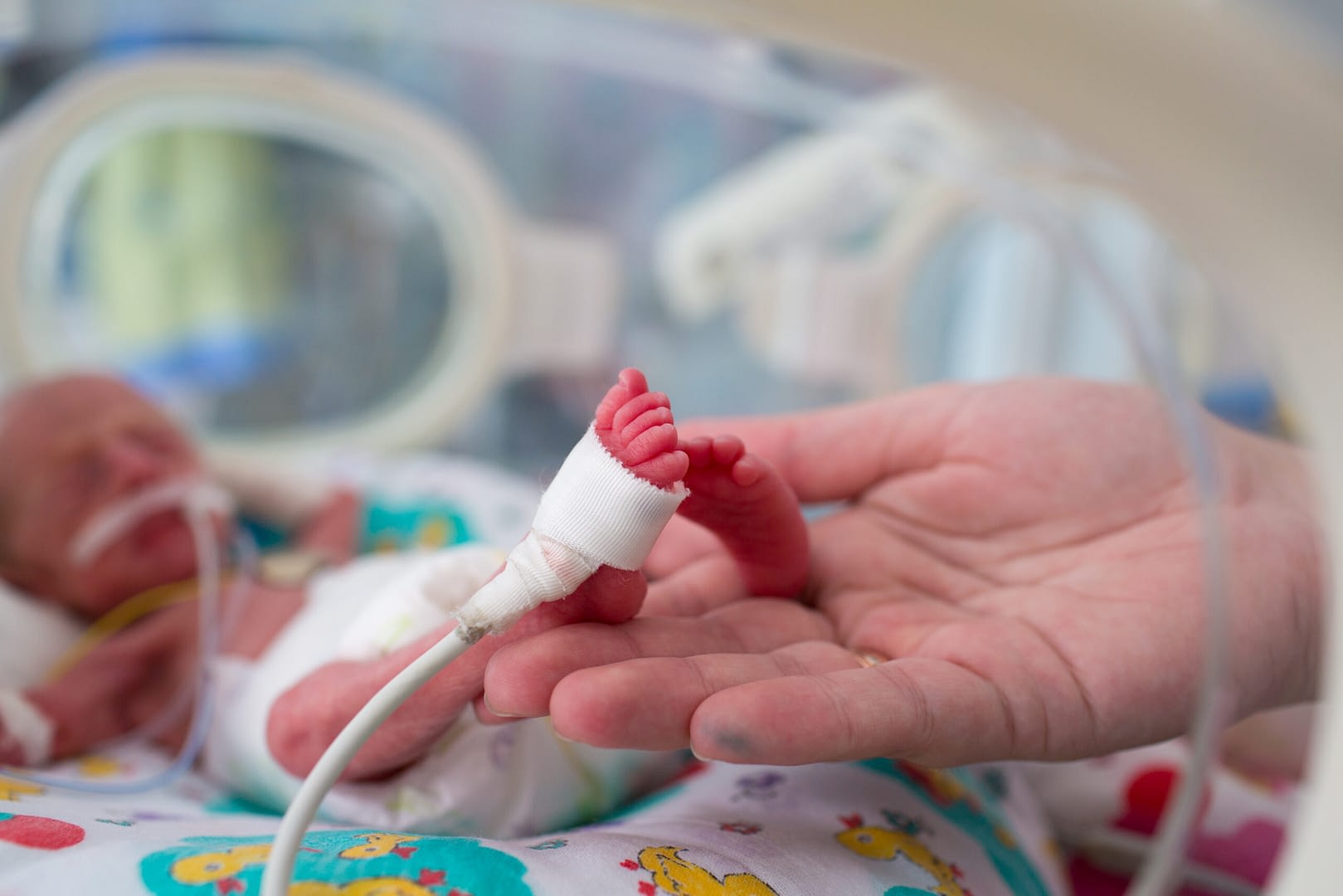 Pediatric Health Premature  Preterm baby  scaled 1